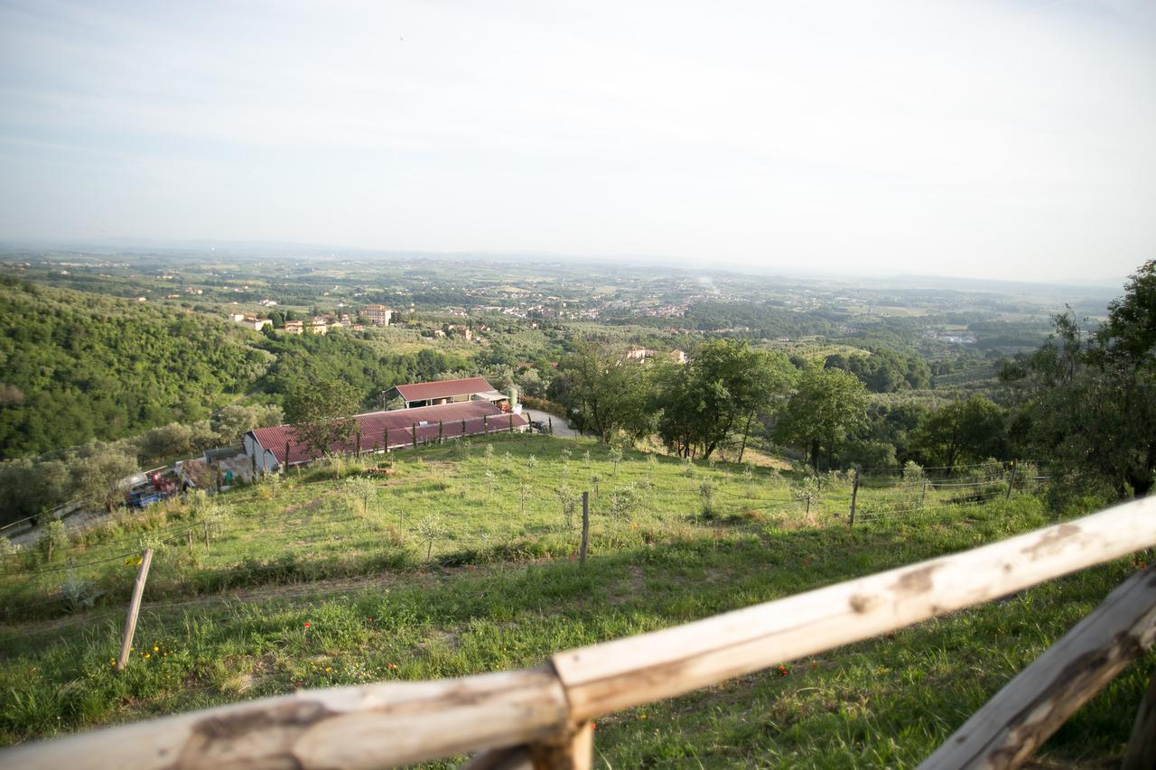 La Dispensa-Bio Agriturismo Bed & Breakfast Lamporecchio Exterior photo